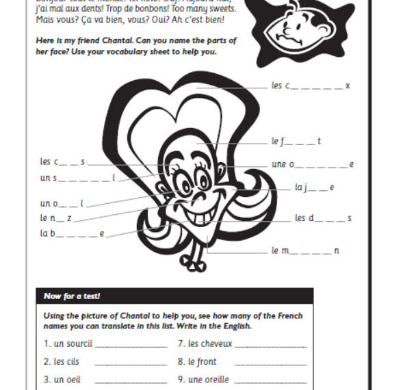 French Worksheet The Face